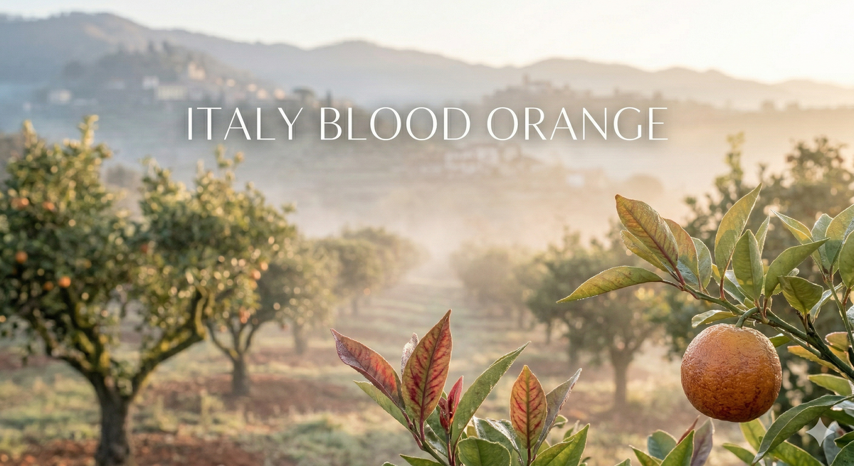 Blood Orange Essential Oil vs Regular Orange Oil — Is There Really a Difference?