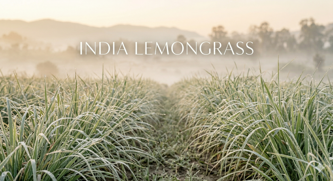 Lemongrass Essential Oil — East Indian vs West Indian, and Real vs Synthetic Citral