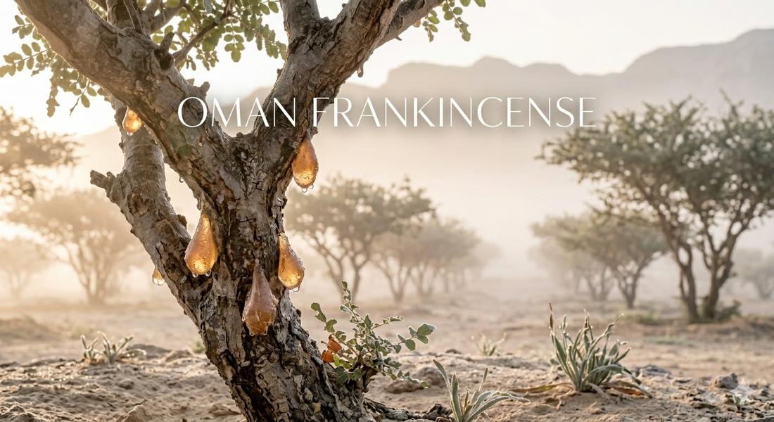 Frankincense Essential Oil — Oman vs India, and Why Grade Matters as Much as Origin
