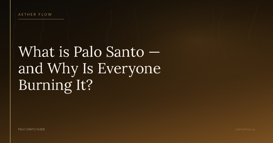 What is Palo Santo — and Why Is Everyone Burning It?