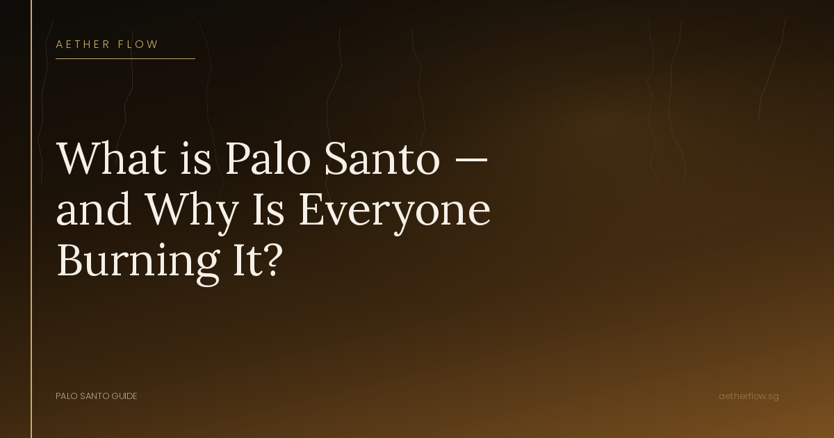 What is Palo Santo — and Why Is Everyone Burning It?