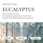 Pure Essential Oils — Single Origin | 10ml | Lavender · Eucalyptus · Peppermint · Sandalwood & More