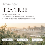 Pure Essential Oils — Single Origin | 10ml | Lavender · Eucalyptus · Peppermint · Sandalwood & More