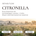 Pure Essential Oils — Single Origin | 10ml | Lavender · Eucalyptus · Peppermint · Sandalwood & More