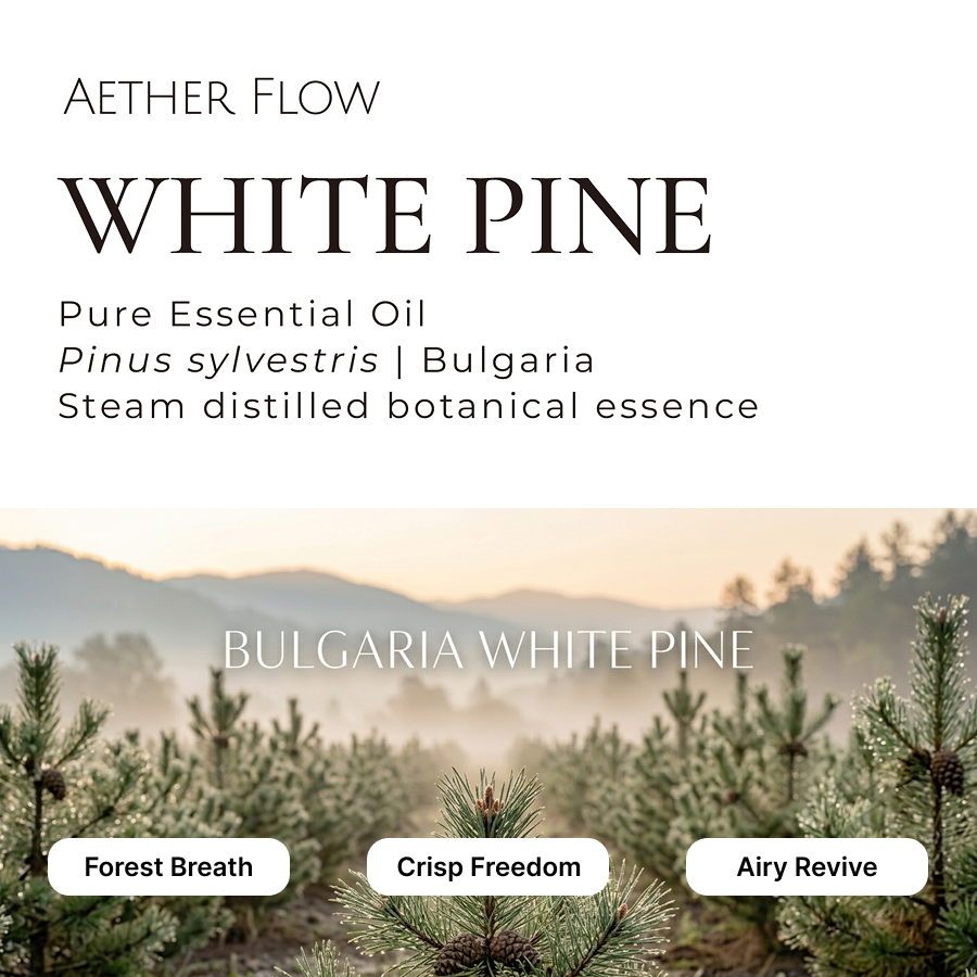 Pure Essential Oils — Single Origin | 10ml | Lavender · Eucalyptus · Peppermint · Sandalwood & More