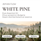 Pure Essential Oils — Single Origin | 10ml | Lavender · Eucalyptus · Peppermint · Sandalwood & More