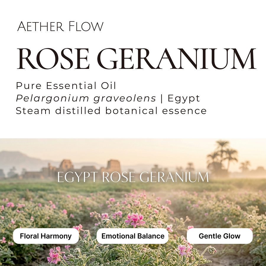 Pure Essential Oils — Single Origin | 10ml | Lavender · Eucalyptus · Peppermint · Sandalwood & More
