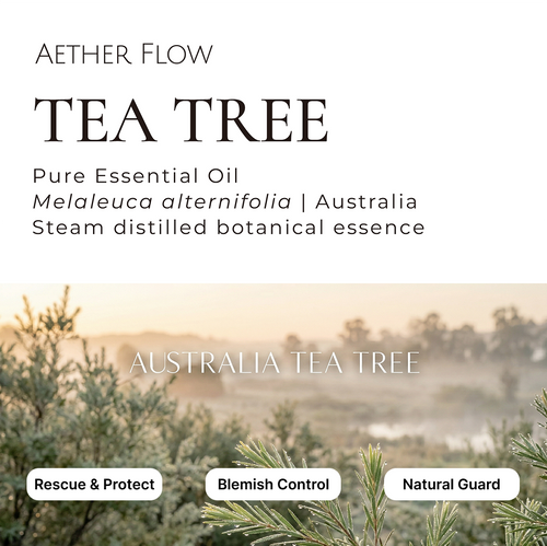 AETHERFLOW Australian Tea Tree Essential Oil — 100% Pure, Single Origin | 10ml